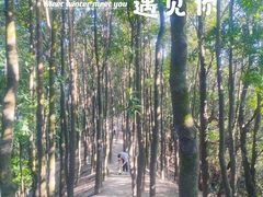 -阳台山森林公园
