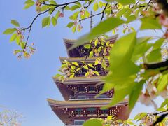 -东湖磨山景区