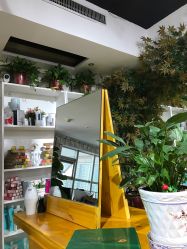 -明洞造型精品烫染