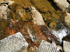 -广州白江湖森林公园