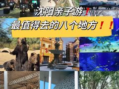 -沈阳森林动物园