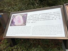 -庐山风景区花径公园