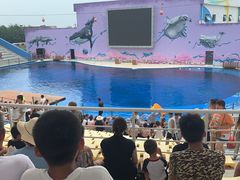 -北戴河圣蓝海洋公园