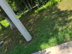 -长江文明馆