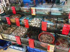 -鑫鸿达·海鲜闽菜热炒小馆(中山路店)