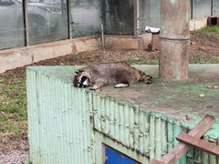 -秦皇岛野生动物园