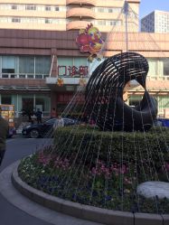 -上海市长宁区妇幼保健院