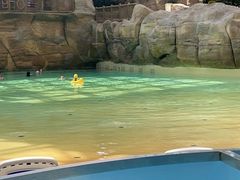 -杭州开元森泊度假乐园