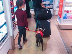 -ladurée(戴高乐机场T 2F店)