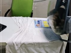 -东莞宠友24H宠物中心医院·转诊夜诊·异宠(新河北路院)