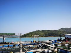 -盐洲岛