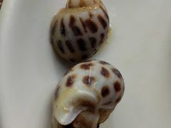 花螺-吉品莞家·鲍鱼鸡煲(东莞店)