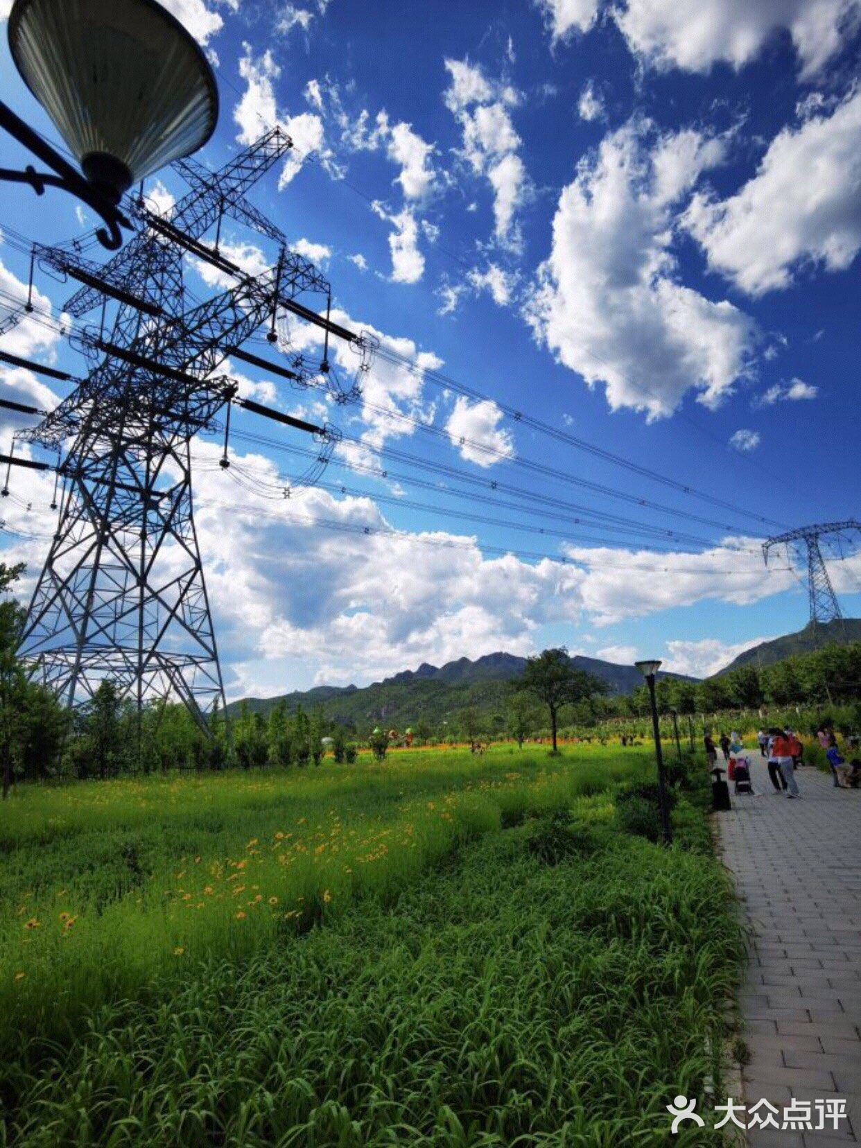 六一必打卡处[调皮]