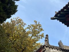 -西安碑林博物馆