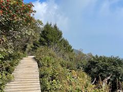 -白草畔自然风景区