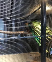 -酷嗒动物文化乐园(cutezoo西溪乐天城店)