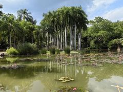 -中国科学院西双版纳热带植物园