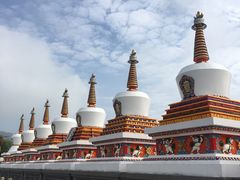 -德禄酸奶(莫家街店)