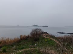 -上海市保健医疗中心