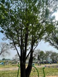 -浅山蜜塘奇妙乐园·亲子营地