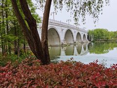 -尚贤河湿地