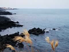 -龙头岩(Dragon Head Rock)