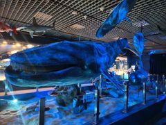 -国家自然博物馆