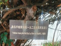 -北京鲁迅博物馆(北京新文化运动纪念馆鲁博馆区)