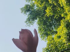 -海珠湖公园