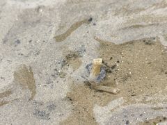 -青岛第一海水浴场