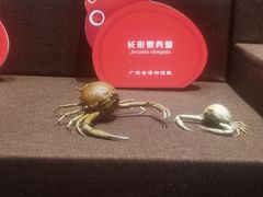 -广东省博物馆