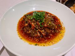 麻辣毛肚-大鸭梨烤鸭(左家庄店)