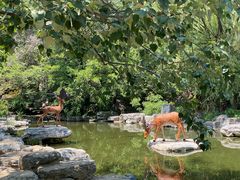 -周口店北京人遗址公园