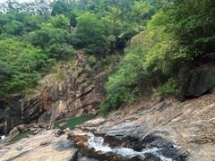 -广州白江湖森林公园