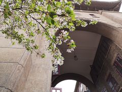 -武汉大学-樱园