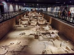 -洛阳周王城天子驾六博物馆