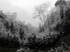 -清真马杰山牛肉汤馆