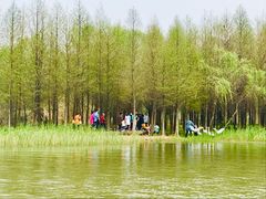 -溱湖国家湿地公园