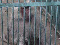 -秦皇岛野生动物园