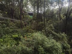 -桂林古东瀑布景区
