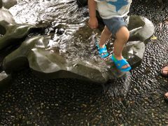 -成都市活水公园