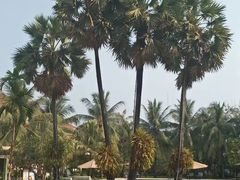 -柬埔寨国家博物馆