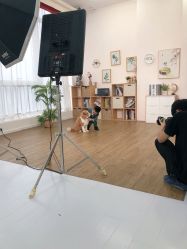 点击看大图 -同远QQBABY亲子摄影(北京路店)