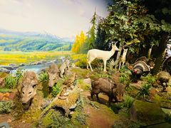 -陕西自然博物馆