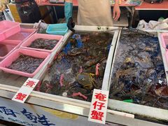 -大湾区中央湿地公园-十九涌
