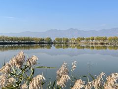 -野鸭湖国家湿地公园