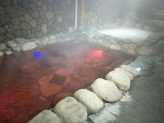 -漢頓温泉度假酒店
