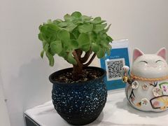 -瑞尔齿科(时代诊所)