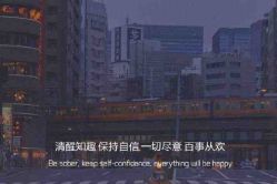 -凡碧诗毛孔清洁收细