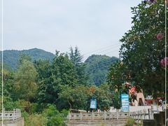 -沣峪口